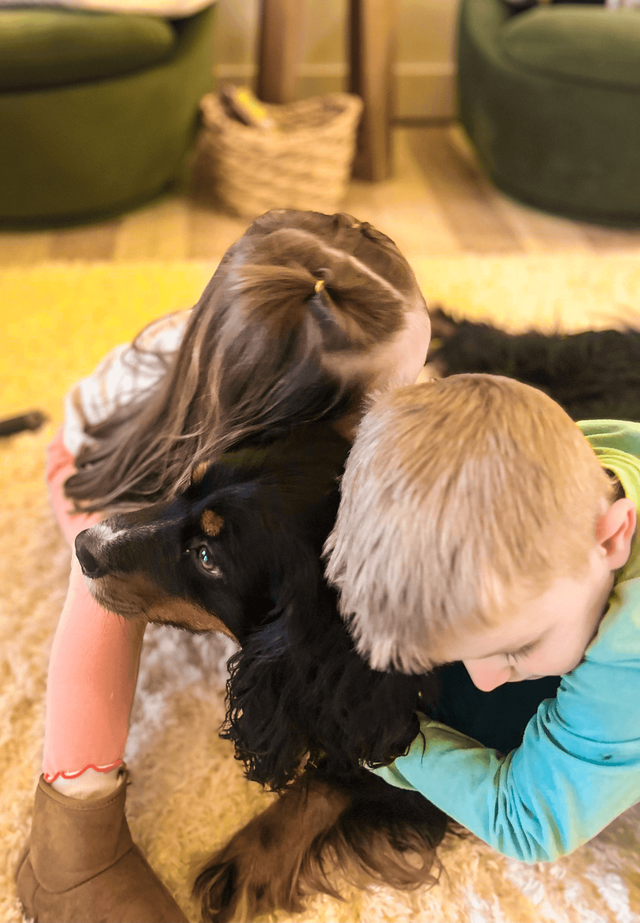 Bear the dog at Wild Sprouts