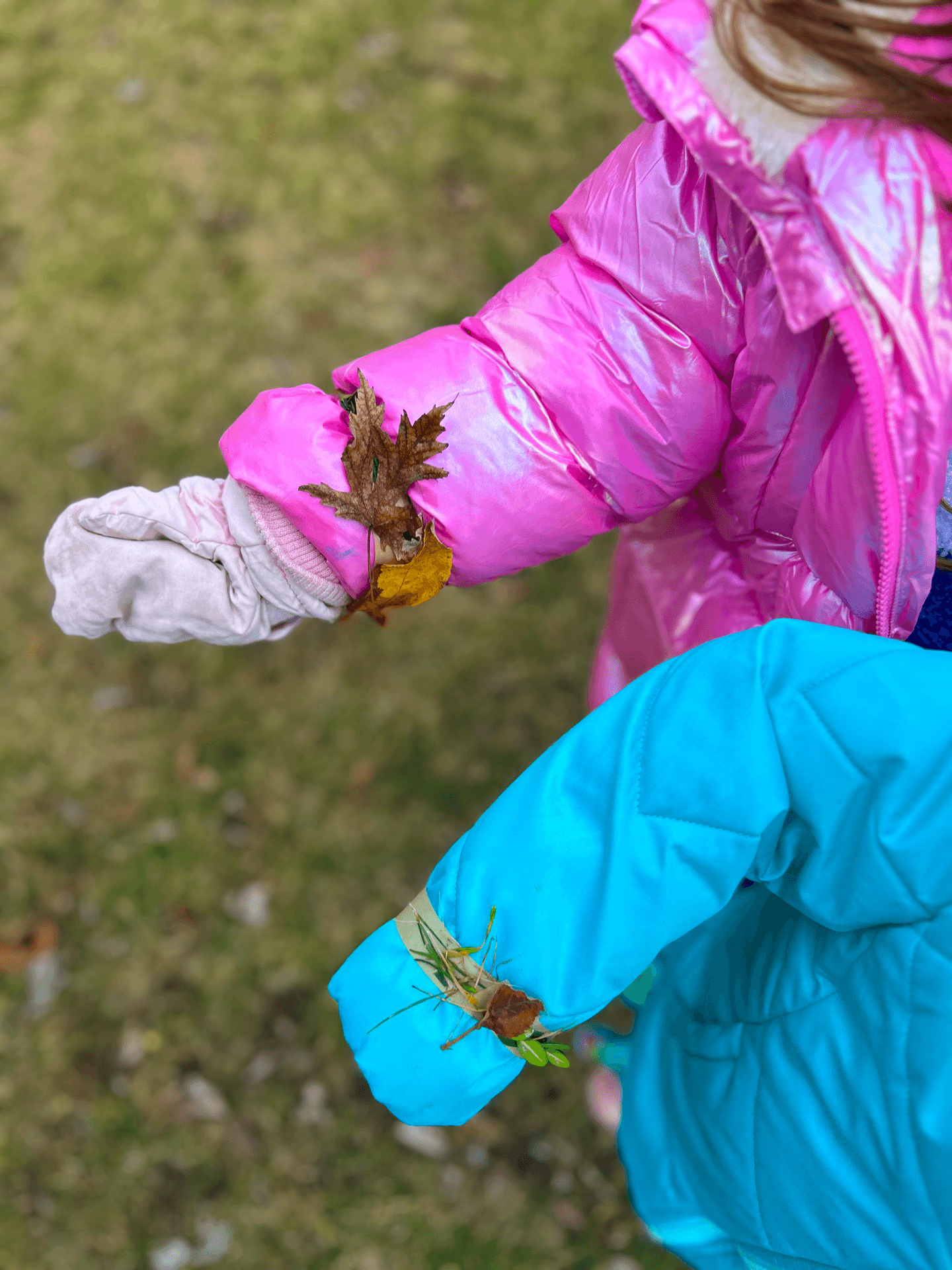 Exploring fall leaves