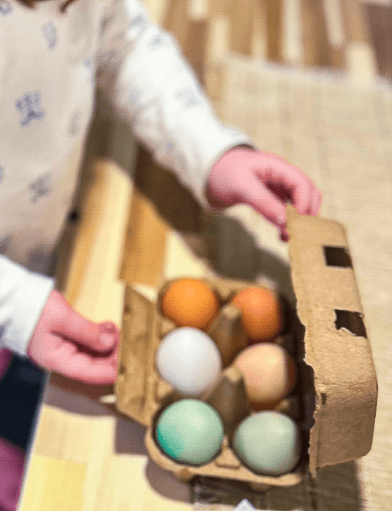 Fresh eggs from the girls