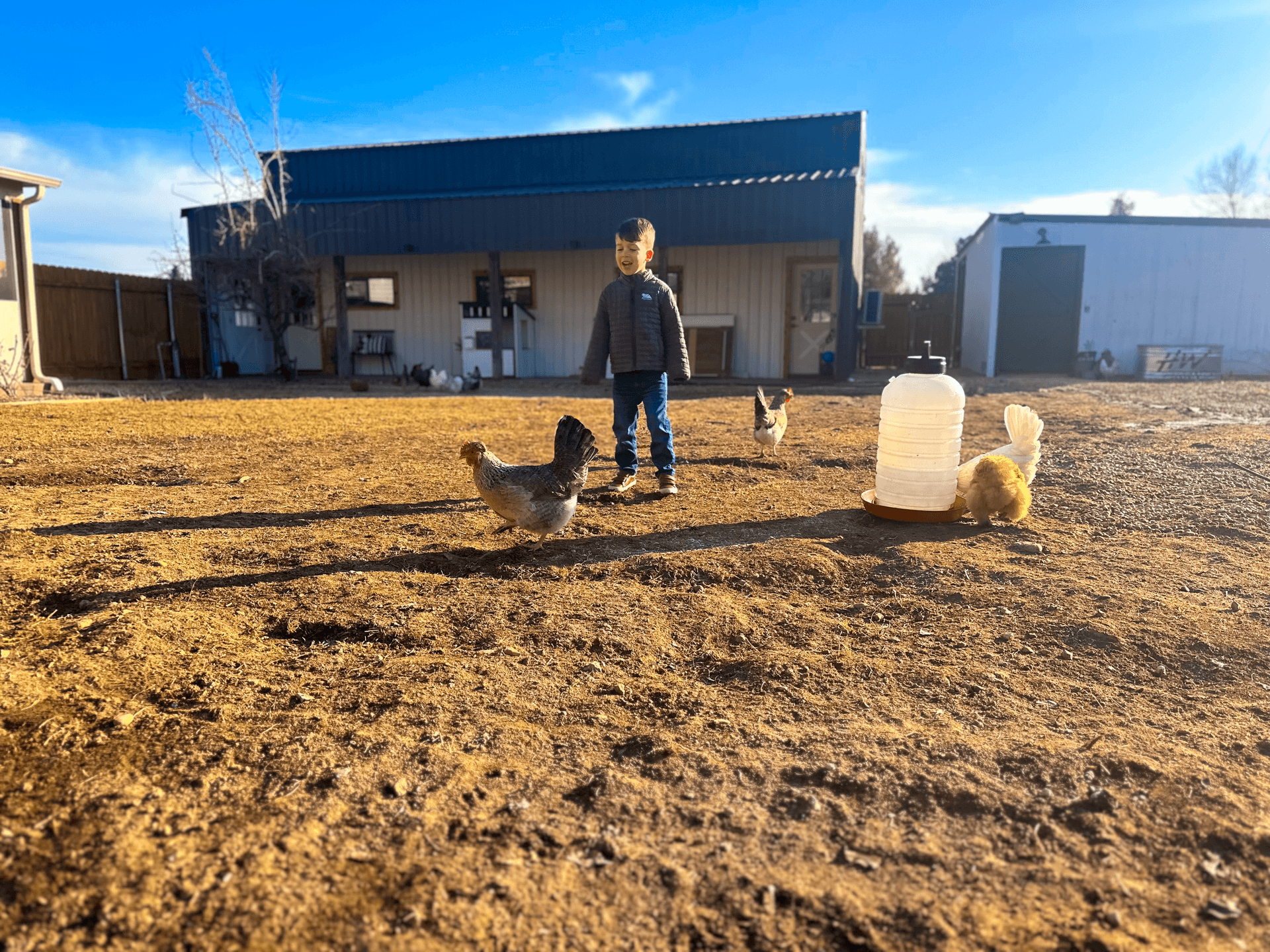 Life at Wild Sprouts